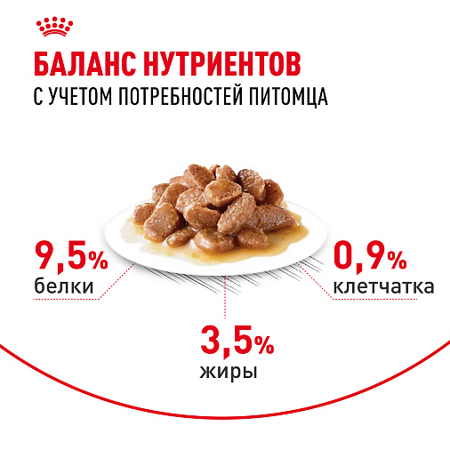 Royal Canin Digestive Care Корм консервированный полнорационный для взрослых кошек с чувствительным пищеварением, тонкие ломтики в соусе