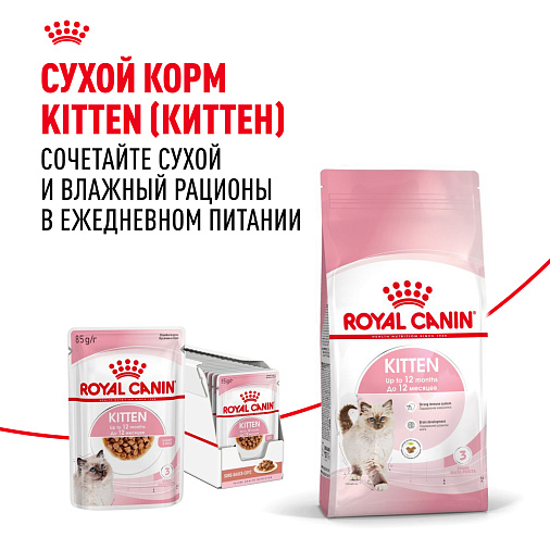 Royal Canin Kitten Gravy Корм консервированный полнорационный для кошек - Специально для котят в период второй фазы роста в возрасте до 12 месяцев, кусочки в соусе