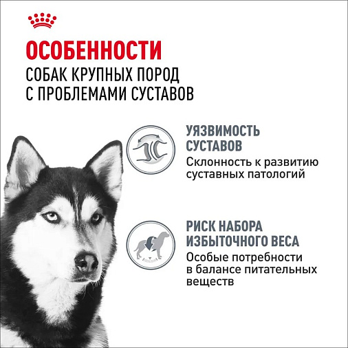 Royal Canin Maxi Joint Care Корм сухой для взрослых собак крупных размеров с повышенной чувствительностью суставов