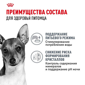 Royal Canin Mini Urinary Care Корм сухой для собак мелких размеров с чувствительной мочевыделительной системой