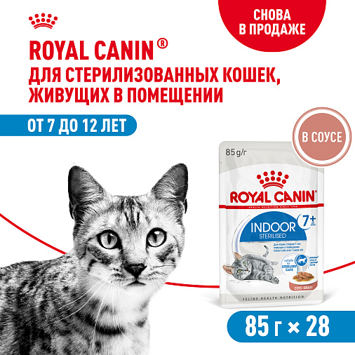 Royal Canin INDOOR STERILISED 7+ Корм консервированный полнорационный для кошек (в возрасте от 7 до 12 лет), живущих в помещении (мелкие кусочки в соусе)