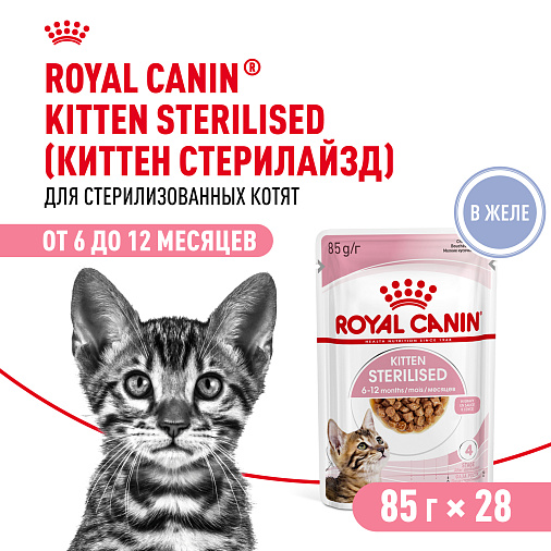 Royal Canin KITTEN STERILISED Корм консервированный полнорационный для кошек - Специально для кастрированных и стерилизованных котят (в возрасте от 6 до 12 месяцев), мелкие кусочки в желе