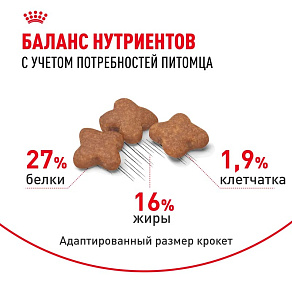 Royal Canin Mini Adult Корм сухой для взрослых собак мелких размеров от 10 месяцев