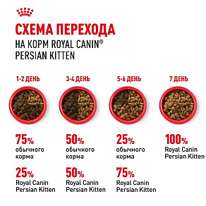 Royal Canin Persian Kitten Корм сухой сбалансированный для персидских котят (до 12 месяцев)