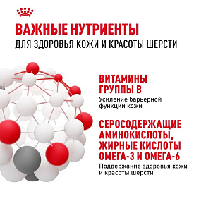 Royal Canin Hair&Skin Care Корм сухой для взрослых кошек для поддержания здоровья кожи и шерсти