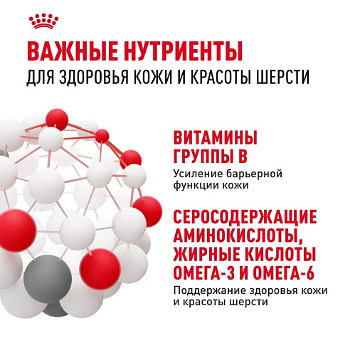 Royal Canin Hair&Skin Care Корм сухой для взрослых кошек для поддержания здоровья кожи и шерсти