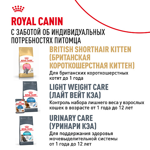 Royal Canin British Shorthair Adult Корм консервированный для взрослых британских короткошерстных кошек,соус