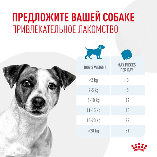 Royal Canin Training Treats лакомство для щенков старше 6 месяцев и взрослых собак. Дополнительное питание для тренировки и дрессировки