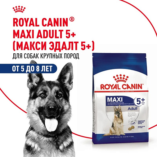 Royal Canin Maxi Adult Корм сухой для взрослых собак крупных размеров от 5 лет до 8 лет