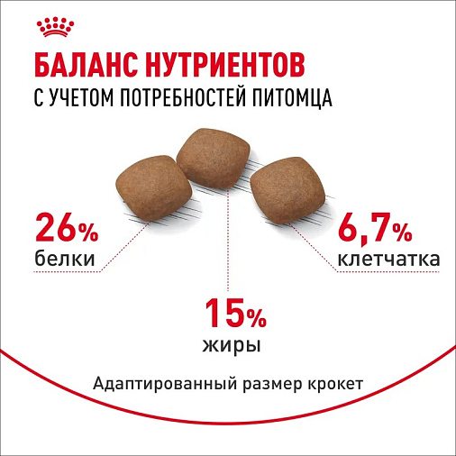 Royal Canin Maxi Joint Care Корм сухой для взрослых собак крупных размеров с повышенной чувствительностью суставов