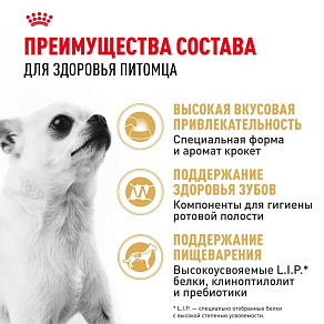 Royal Canin Chihuahua Adult Корм сухой для взрослых собак породы Чихуахуа от 8 месяцев