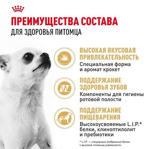 Royal Canin Chihuahua Adult Корм сухой для взрослых собак породы Чихуахуа от 8 месяцев