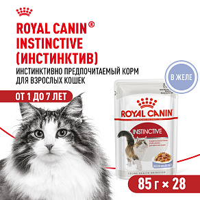 Royal Canin Instinctive Корм консервированный для взрослых кошек, желе