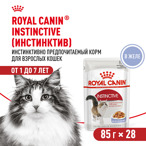Royal Canin Instinctive Корм консервированный для взрослых кошек, желе