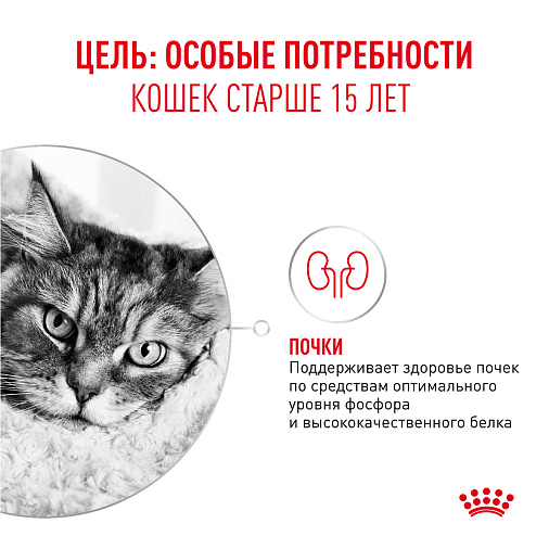 Royal Canin Ageing 15+ Корм влажный для очень пожилых кошек старше 15 лет, кусочки в соусе