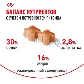 Royal Canin Labrador Retriever Puppy Корм сухой для щенков породы Лабрадор Ретривер до 15 месяцев