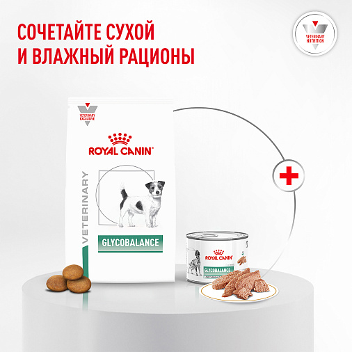Royal Canin Glycobalance Small Dogs Корм сухой полнорационный диетический для взрослых собак мелких пород при диабете