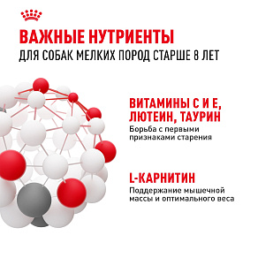 Royal Canin Mini Adult 8+ для взрослых собак мелких размеров (до 10 кг) старше 8 лет