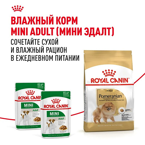 Royal Canin Pomeranian Adult Корм сухой для взрослых собак породы Померанский Шпиц