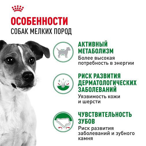 Royal Canin Mini Adult Корм сухой для взрослых собак мелких размеров от 10 месяцев