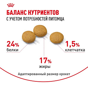 Royal Canin Medium Dermacomfort Корм сухой для взрослых собак средних размеров при раздражениях и зуде кожи