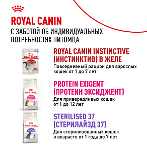 Royal Canin INSTINCTIVE Корм консервированный для взрослых кошек, соус