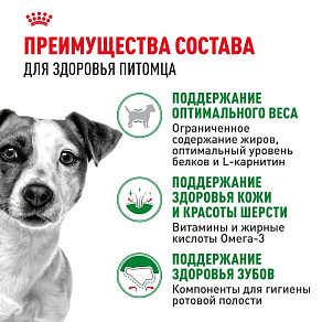 Royal Canin Mini Adult Корм сухой для взрослых собак мелких размеров от 10 месяцев