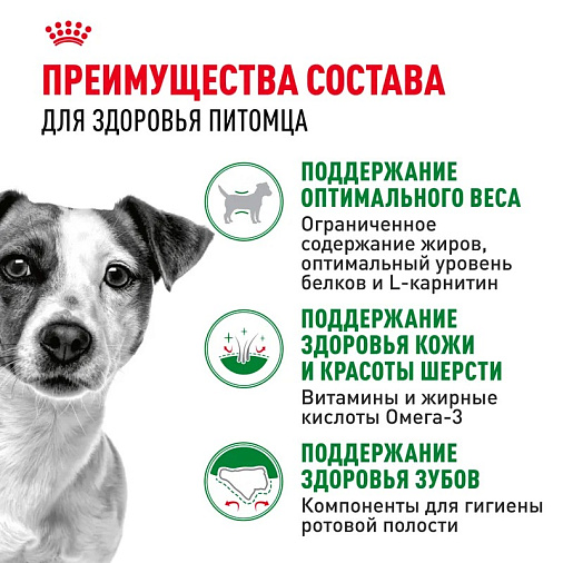 Royal Canin Mini Adult Корм сухой для взрослых собак мелких размеров от 10 месяцев