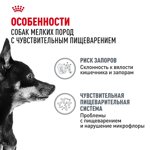 Royal Canin Mini Digestive Care Корм сухой для взрослых собак мелких размеров с чувствительным пищеварением