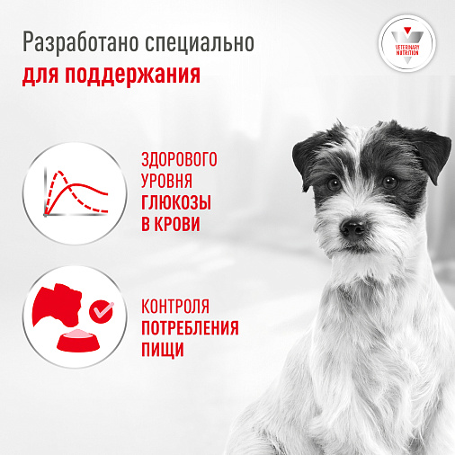 Royal Canin Glycobalance Small Dogs Корм сухой полнорационный диетический для взрослых собак мелких пород при диабете