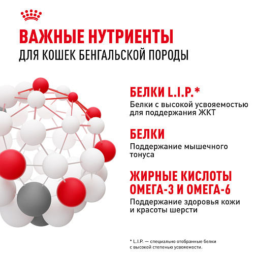 Royal Canin BENGAL ADULT Корм сухой полнорационный сбалансированный для кошек – Специально для взрослых бенгальских кошек старше 12 месяцев