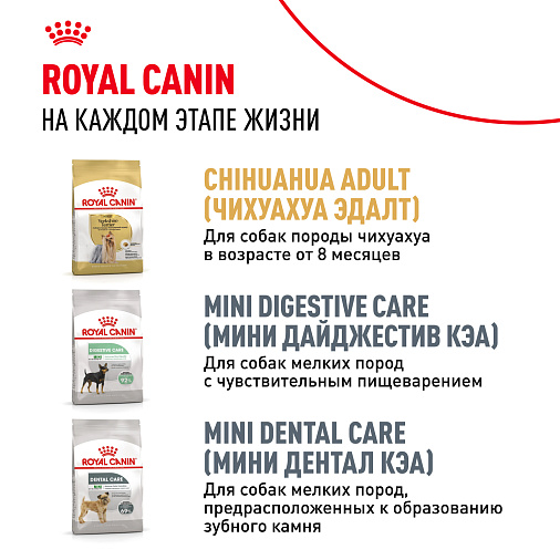 Royal Canin Chihuahua Puppy Корм сухой для щенков породы Чихуахуа до 8 месяцев