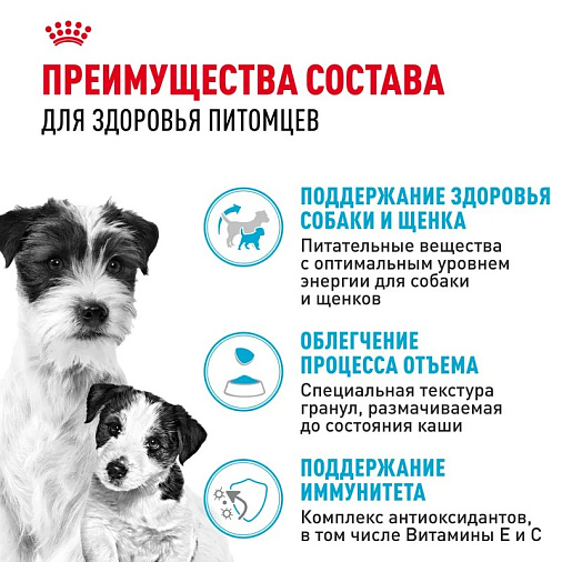Royal Canin Mini Starter Корм сухой для щенков мелких размеров до 2-х месяцев, беременных и кормящих сук