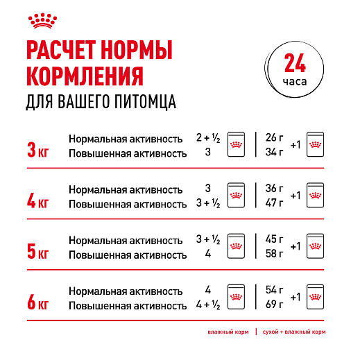 Royal Canin Корм для кошек с инстинктивным предпочтением в возрасте старше 7 лет (Instinctive 7+), мелкие кусочки в соусе