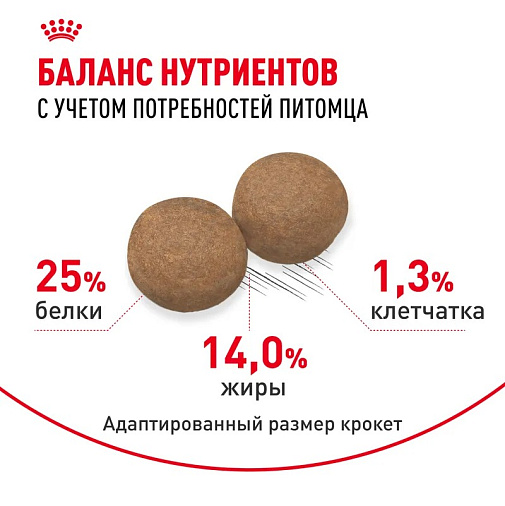 Royal Canin Medium Adult Корм сухой для взрослых собак средних размеров от 12 месяцев до 7 лет