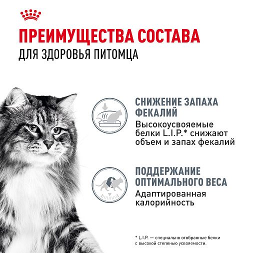 Royal Canin Digestive Care Корм консервированный полнорационный для взрослых кошек с чувствительным пищеварением, тонкие ломтики в соусе