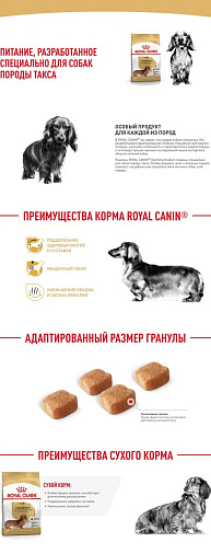 Royal Canin Dachshund Adult Корм сухой для взрослых собак породы Такса от 10 месяцев