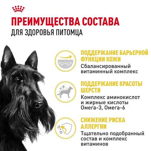 Royal Canin Mini Dermacomfort Корм сухой для взрослых собак мелких размеров при раздражениях и зуде кожи
