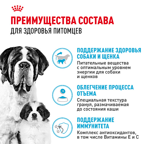 Royal Canin Giant Starter Корм сухой для щенков очень крупных размеров до 2 месяцев, беременных и кормящих сук