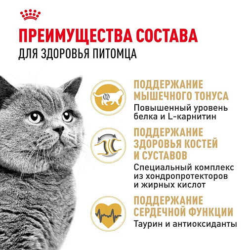 Royal Canin British Shorthair Adult Корм сухой сбалансированный для взрослых британских короткошерстных кошек