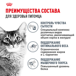 Royal Canin LIGHT WEIGHT CARE Корм консервированный полнорационный для взрослых кошек - Рекомендуется для профилактики избыточного веса, мелкие кусочки в соусе