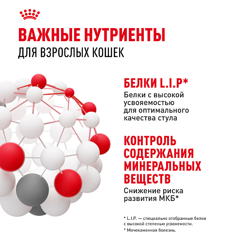 Royal Canin Indoor Sterilised (в желе) Корм консервированный полнорационный для взрослых кошек (в возрасте от 1 года до 7 лет), постоянно живущих в помещении