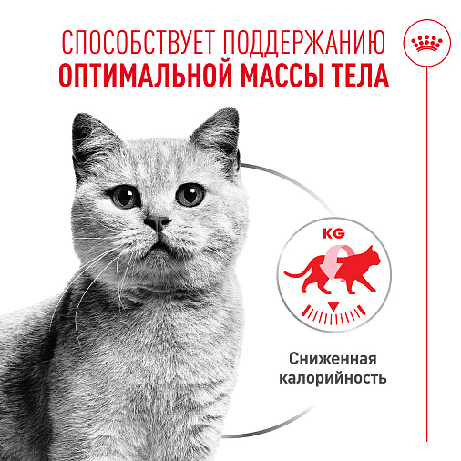 Royal Canin Light Weight Care AirLift™ Корм консервированный полнорационный для взрослых кошек (мусс AirLift™)