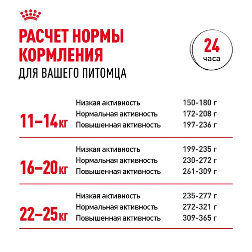 Royal Canin Medium Adult Корм сухой для взрослых собак средних размеров от 12 месяцев до 7 лет