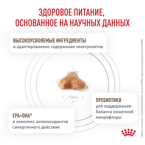 Royal Canin GASTROINTESTINAL FIBRE RESPONSE (ГАСТРОИНТЕСТИНАЛ ФАЙБР РЕСПОНС) Корм сухой для кошек при запорах