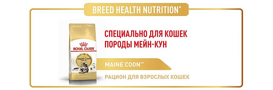 Royal Canin Maine Coon Adult Корм сухой сбалансированный для взрослых кошек породы Мэйн Кун