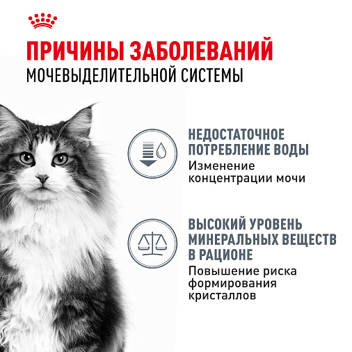 Royal Canin Корм для профилактики нарушения мочевыделительной системы у взрослых кошек (Urinary Care), мелкие кусочки в соусе