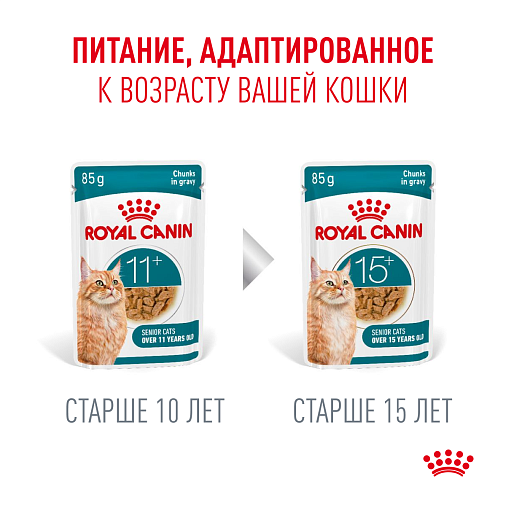 Royal Canin Ageing 11+ Корм влажный для пожилых кошек старше 11 лет, кусочки в соусе