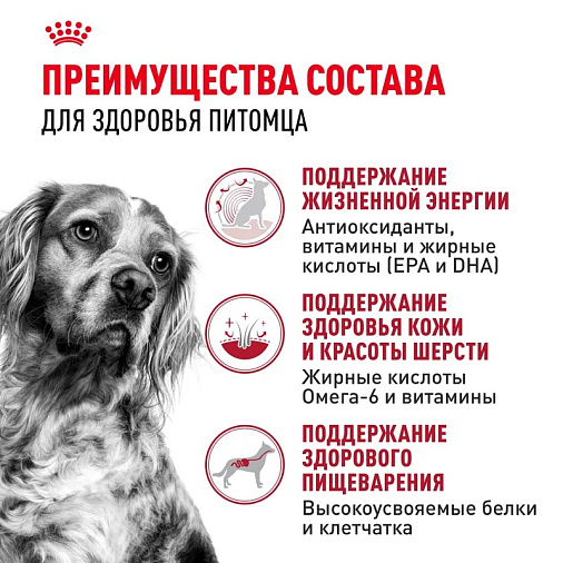 Royal Canin Medium Adult 7+ Корм сухой для взрослых собак средних размеров от 7 лет и старше