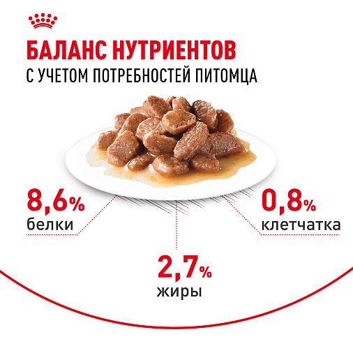 Royal Canin Корм для профилактики образования волосяных комочков у взрослых кошек (Hairball Care), мелкие кусочки в соусе